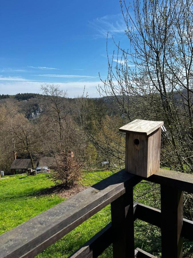 La Cabane D'Helie - Cottage En Pleine Foret - Domaine Du Bonsoy Hastiere-par-dela المظهر الخارجي الصورة