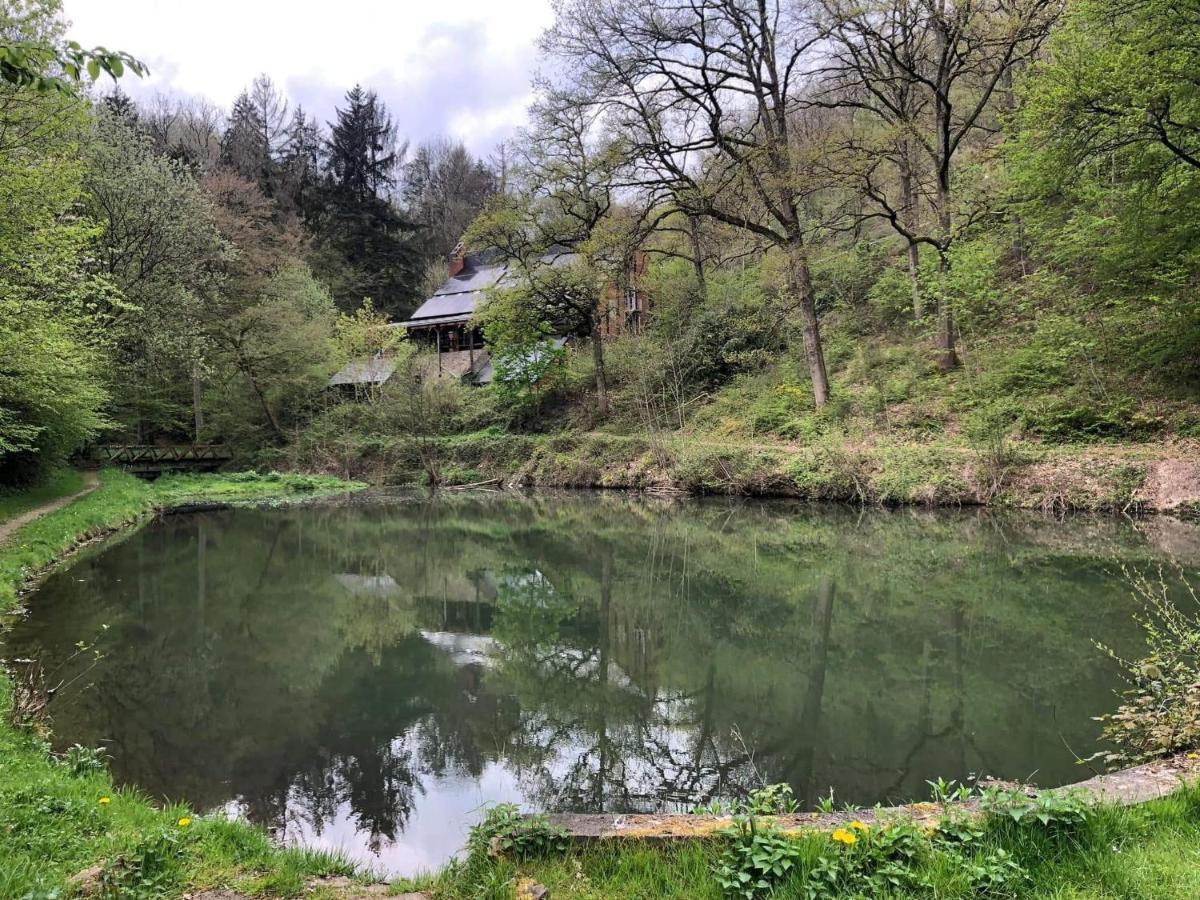 La Cabane D'Helie - Cottage En Pleine Foret - Domaine Du Bonsoy Hastiere-par-dela المظهر الخارجي الصورة